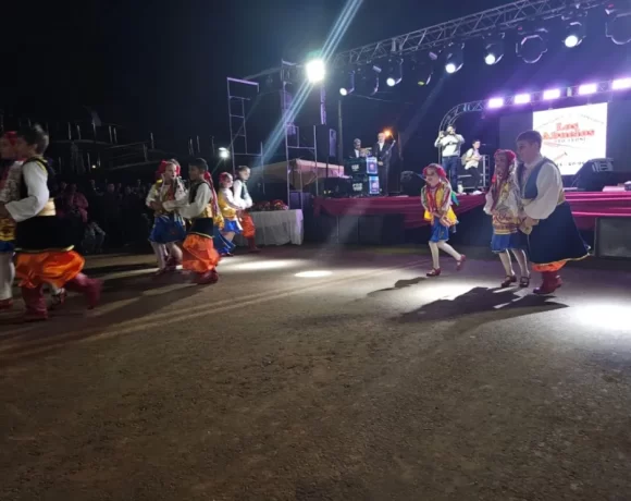 Se viene la Fiesta del Lapacho en Leoni